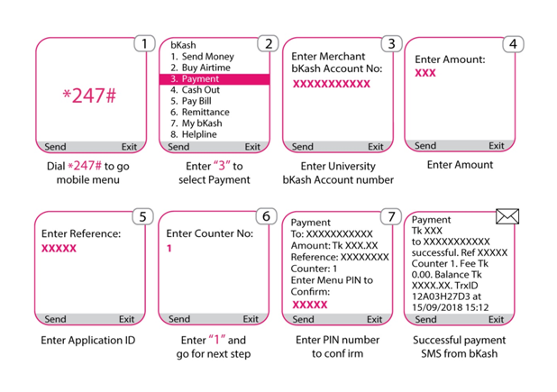 bKash Payment Steps